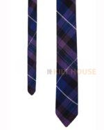 Pride of Scotland Tartan NeckTie - Image 3